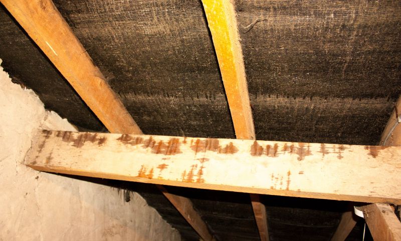 Attic Water Damage Repair in Littleton, CO